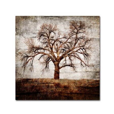 Trademark Fine Art
